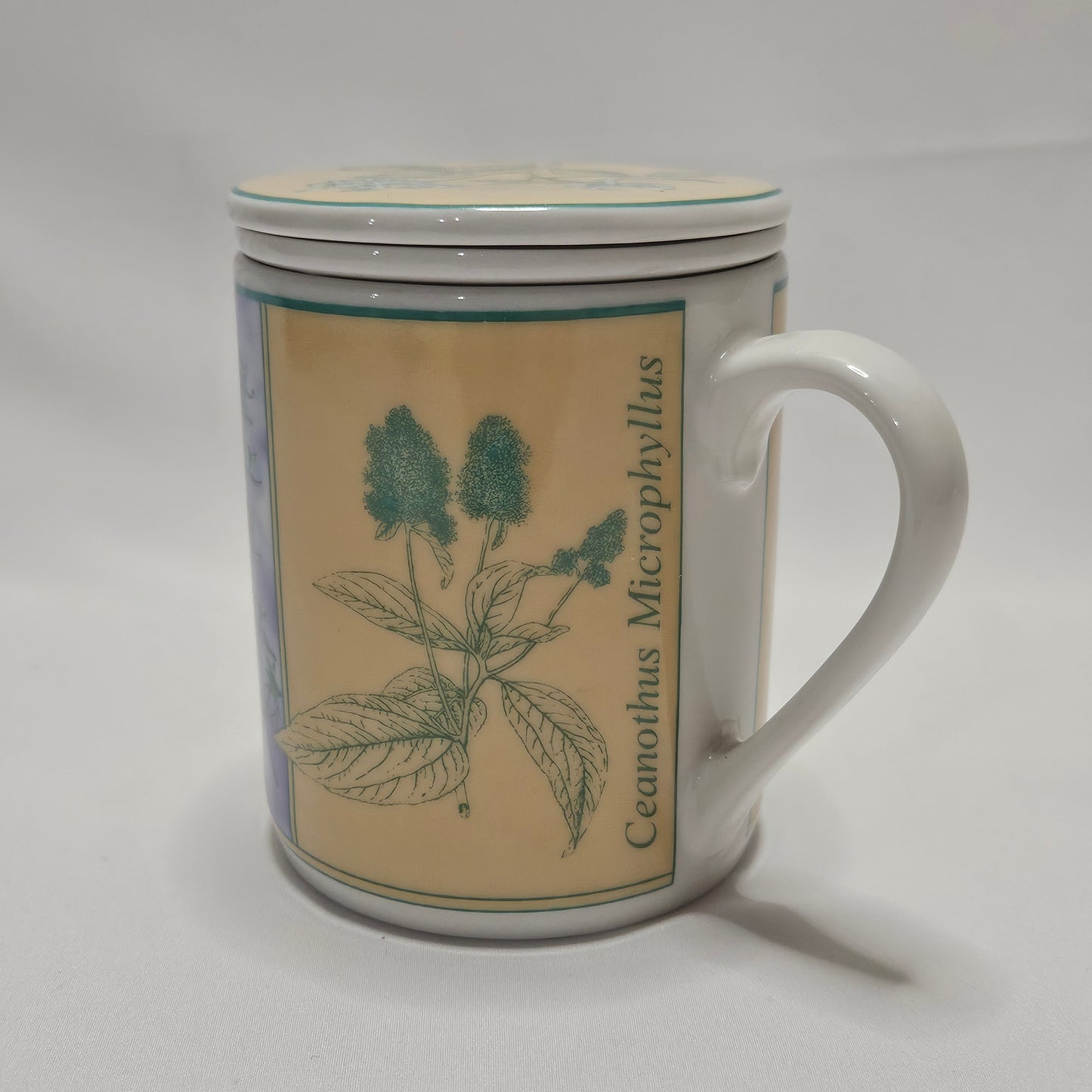 Danesco Ceramic Mug with Tea Infuser, Herbal plant designs