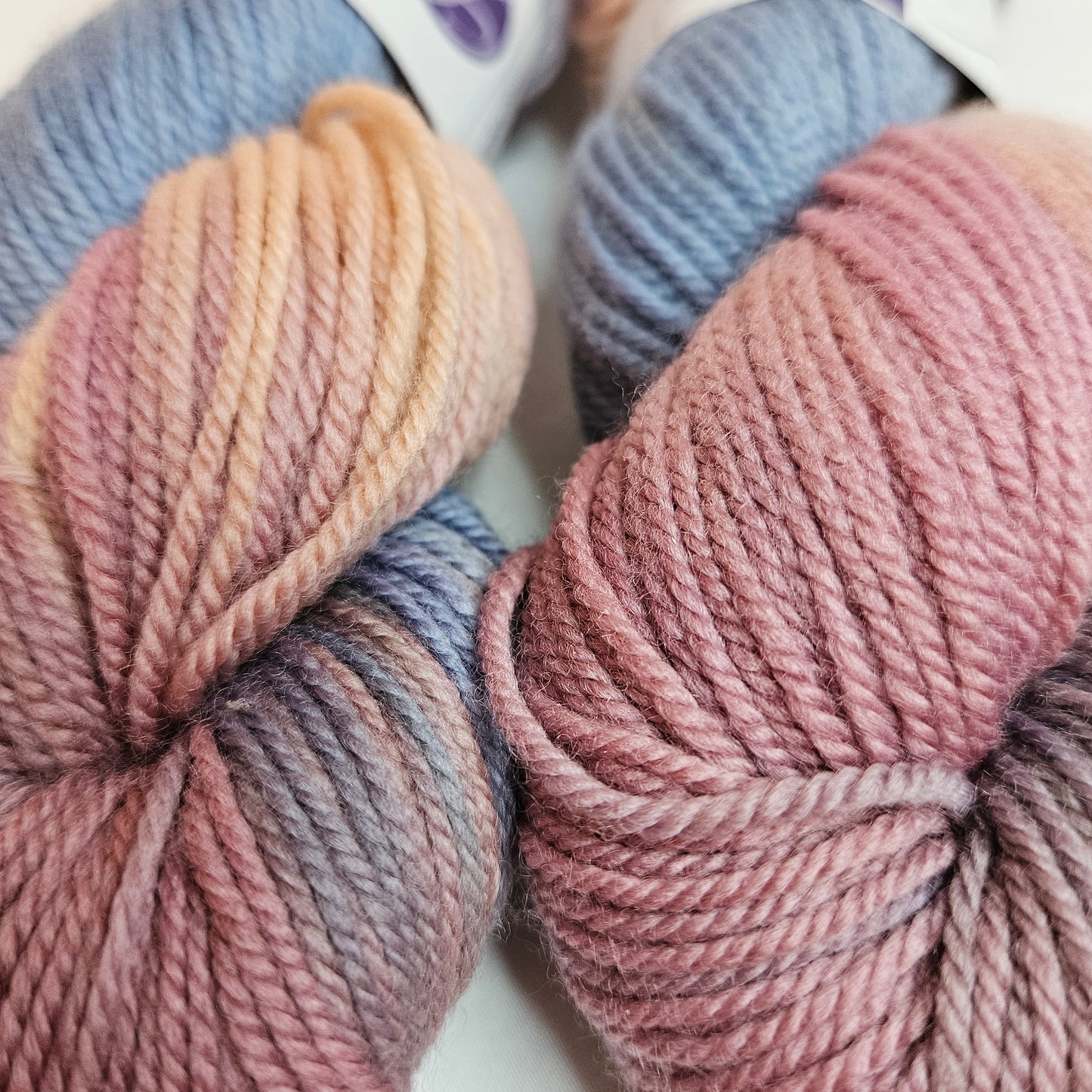 Lorna's Laces Shepherd's Sport 100% Superwash Merino Wool Yarn, 2 skeins