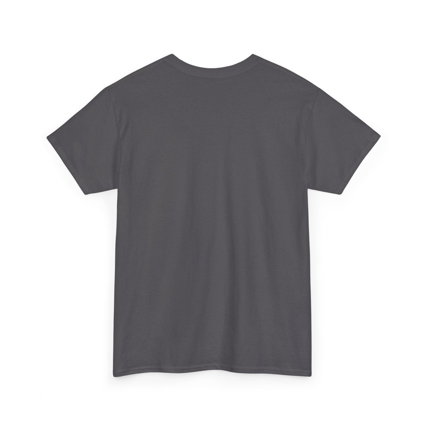 The world needs more artists, not more AI - Unisex Heavy Cotton Tee
