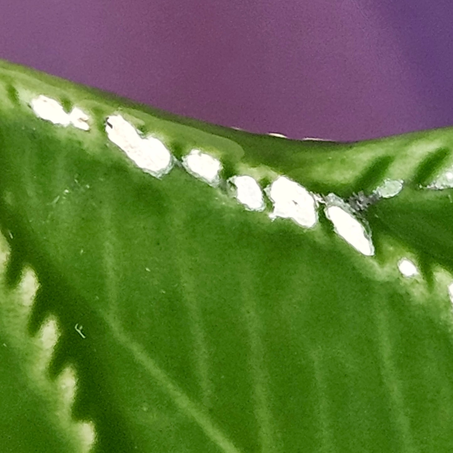 Vintage ceramic bowl, made in Italy, leaf pattern, 11.25 x 3.25 inches