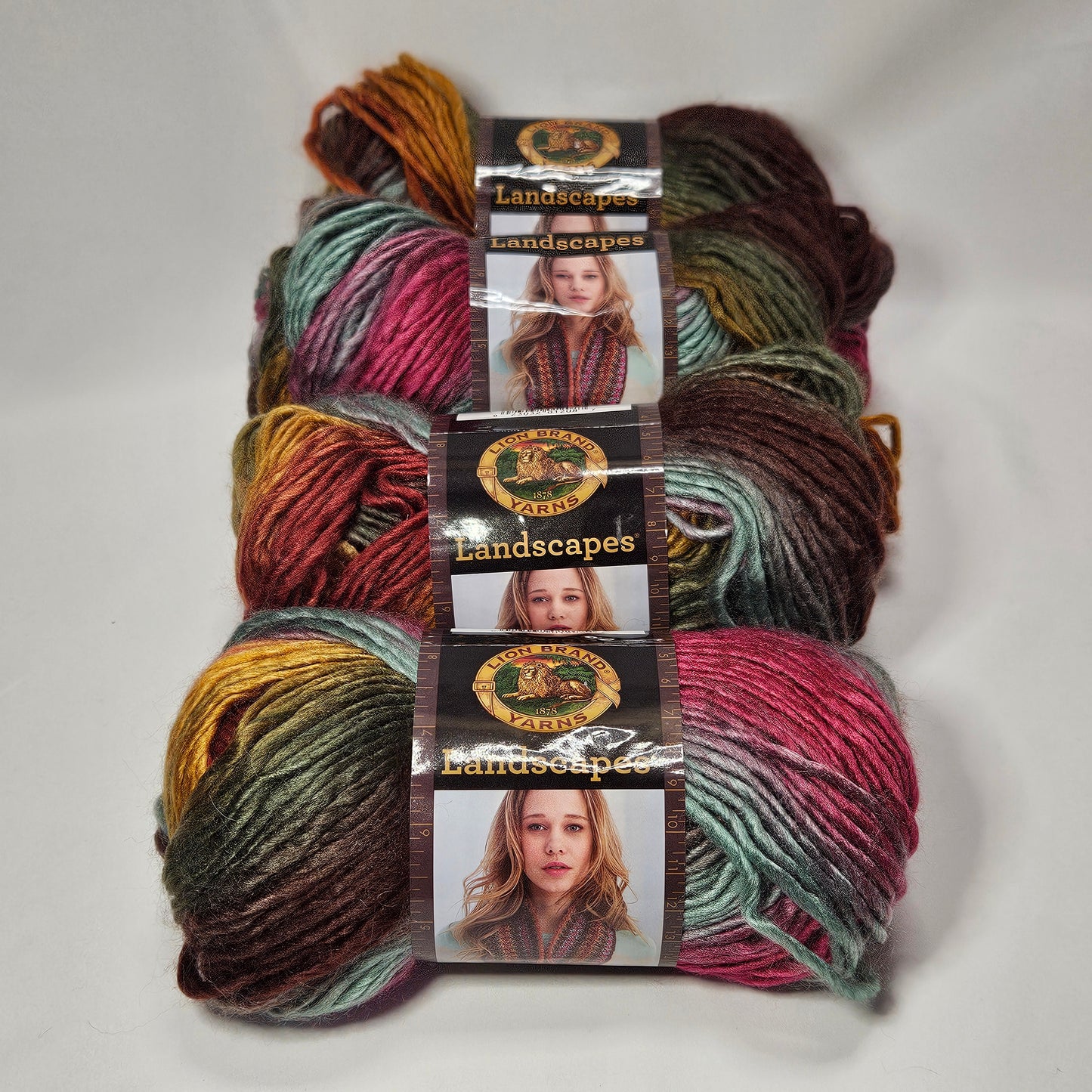 Lion Brand Landscapes acrylic yarn, Desert Spring, 4 skeins, 4 medium