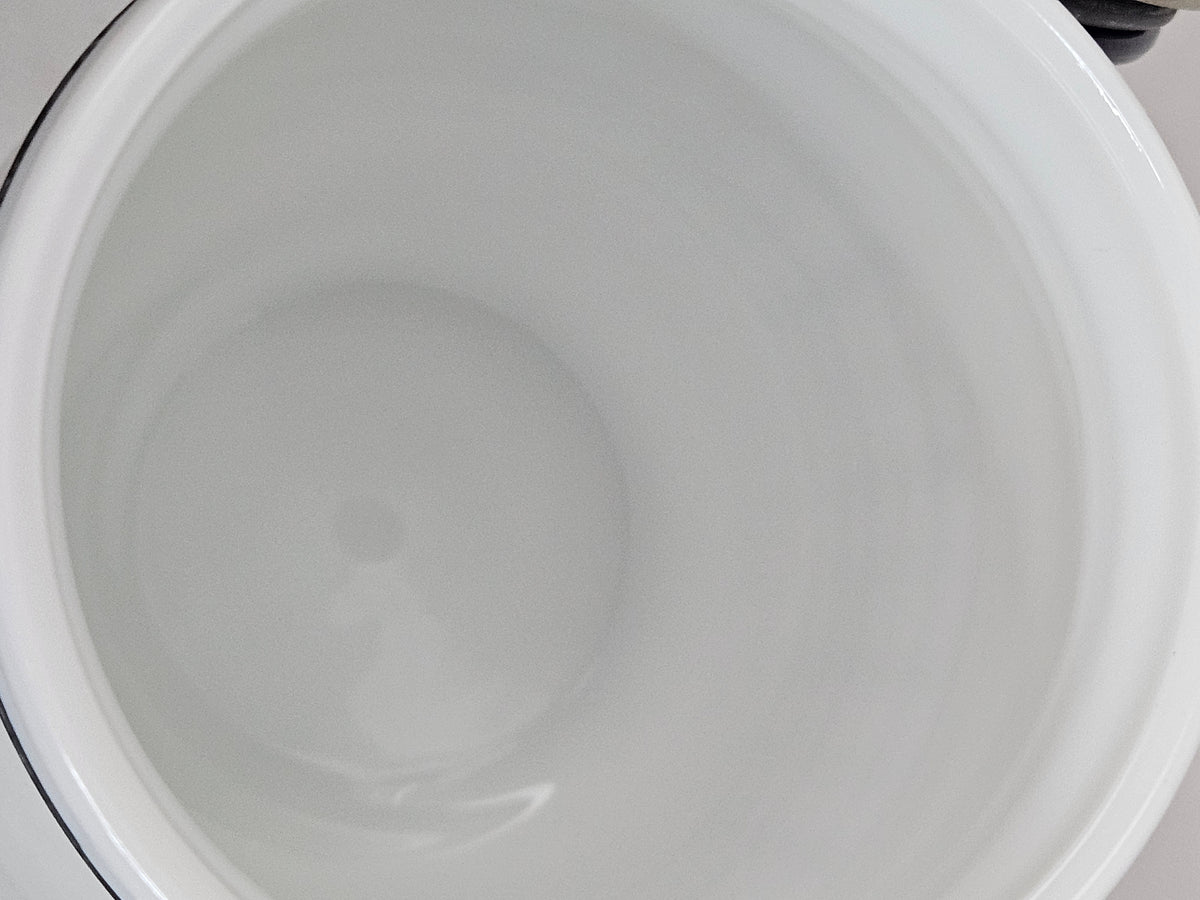 Wheaton Milkglass Sugar and Flour Canister Set with wire clamp closures