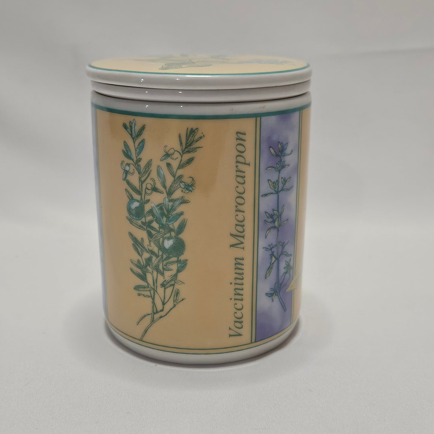 Danesco Ceramic Mug with Tea Infuser, Herbal plant designs
